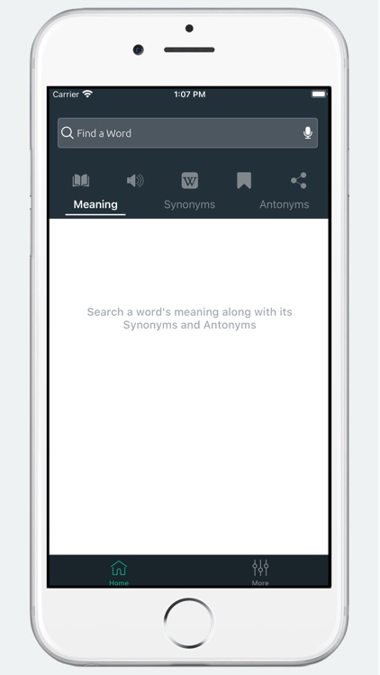 Thesaurus & Dictionary