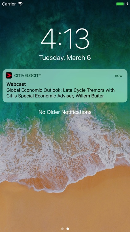 Citi Velocity screenshot-3