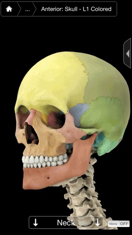 3D4Medical Body Systems for iPhoneのおすすめ画像6