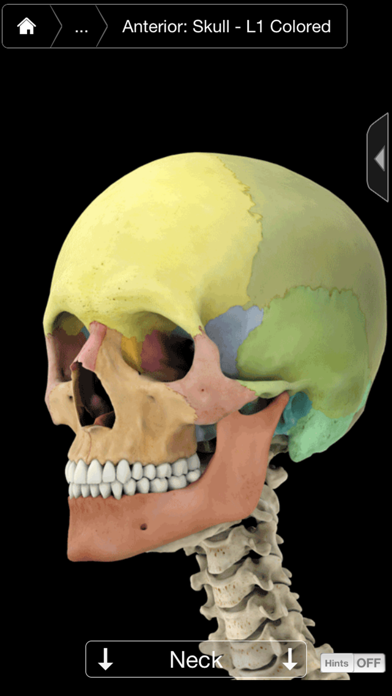 Skeleton System Pro III-iPhoneのおすすめ画像3