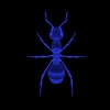 The Zombie Ant Experience icon