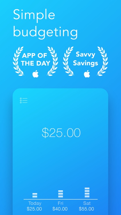 Daily Budget Original screenshot-0