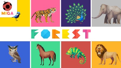 Miga Forest : puzzle Screenshot