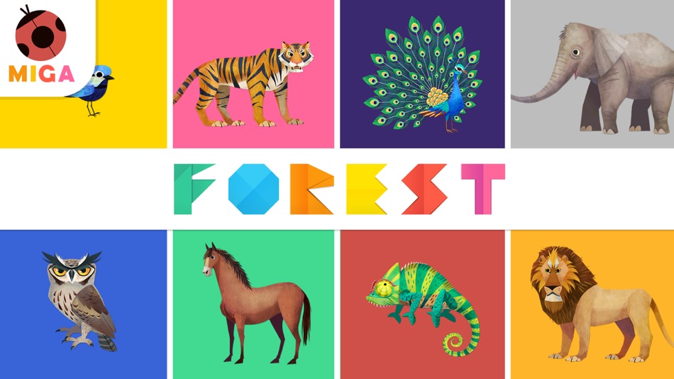 Miga Forest : puzzle - 1.1 - (iOS)