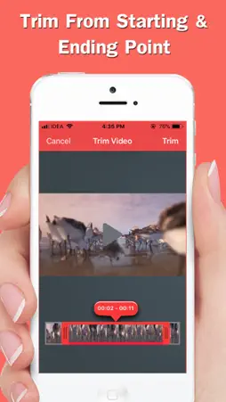 Infinite Loop Video & Reverse screenshot 4