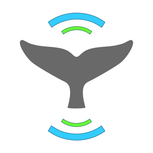 Whale Alert