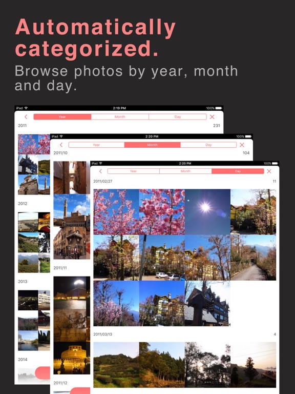 Screenshot #5 pour Piconizer.
