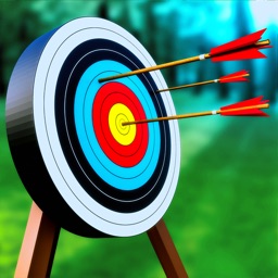 Archery Shooting Master