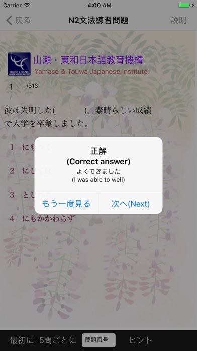 新しい日本語検定試験N2文法のまとめ screenshot1