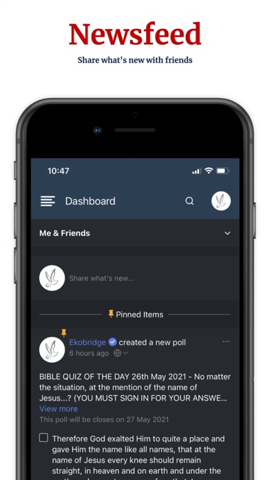 Ekobridge Screenshot
