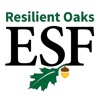 Resilient Oaks icon