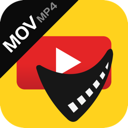 Any MP4 MOV Converter