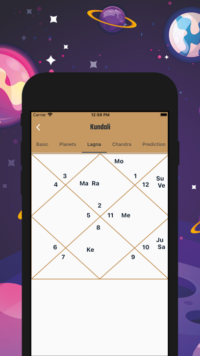 Bhrugu Astrology Screenshot