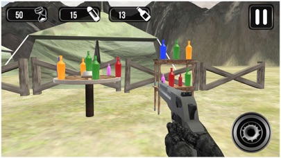 Bottle Shooter Pro Aim Master Screenshot