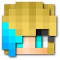 MC Skins for Minecraft skins app download