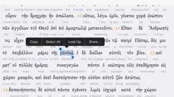 Interlinear Greek iPhone image 4