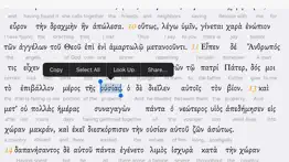 interlinear greek iphone screenshot 4
