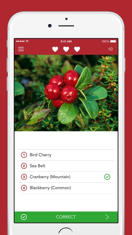 Wild Berries and Herbs 2 PRO screenshot-3