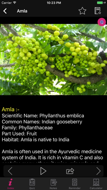 Natural Remedies Herbal screenshot-4