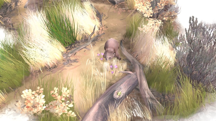 Paperbark screenshot-3