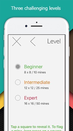 Minesweeper Pro Version screenshot 3