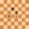 Chess Endgame Trainer icon