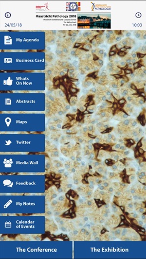 Maastricht Pathology 2018(圖2)-速報App