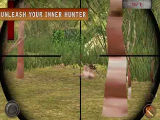 Big Hunting: Deer Shoot Pro, game for IOS