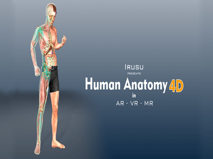 Irusu Human Anatomy