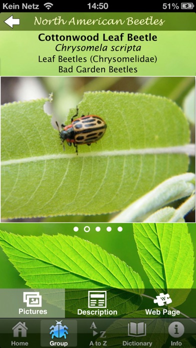 North American Beetlesのおすすめ画像4