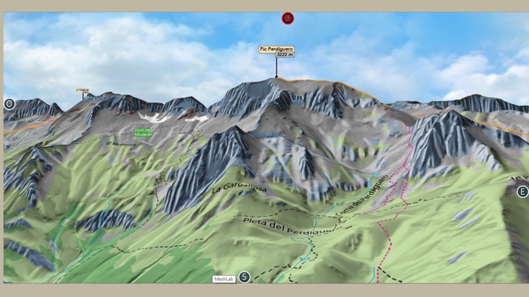 Posets - Perdiguero 1.25 000