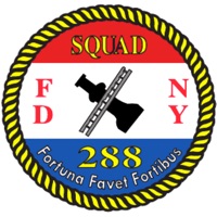 Squad Box - New York City