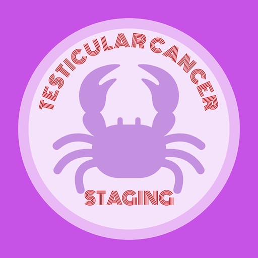 Testicular Cancer Staging