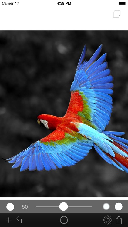 Photo Color Painter screenshot-3