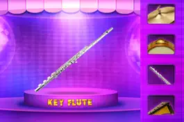 Game screenshot Musical Instrument - HD apk