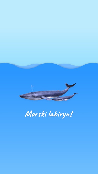 Morski Labirynt AR Screenshot