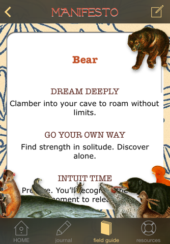 What the Walrus Knows - náhled