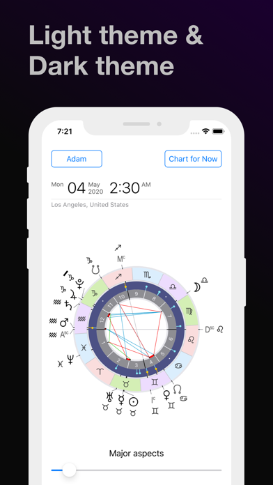 Screenshot #3 pour Time Nomad Astrology Charts