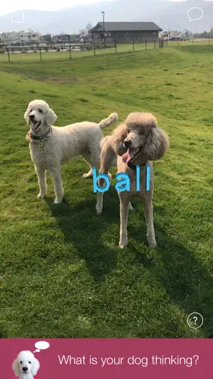 AnimalAnalysis screenshot 1
