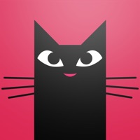 Maus Cat Stickers sur PC