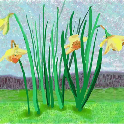 Hockney AR Читы