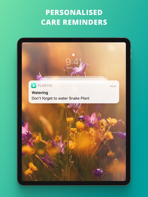iPad Image of PlantIn: Plant Identifier
