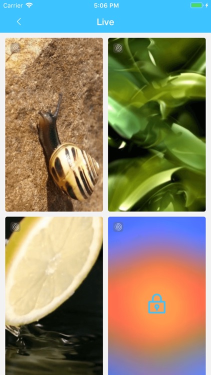 Wallpaper Square screenshot-3