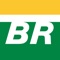 Acesse o POC Petrobras e tenha à sua disposição milhares de conteúdos em diversos formatos (ebooks, audiolivros, podcasts, vídeos, cursos, revistas, etc