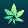 HiGrade: Cannabis Testing icon