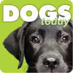 Dogs Today Magazine App Positive Reviews