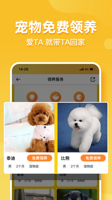 LookingPet Screenshot