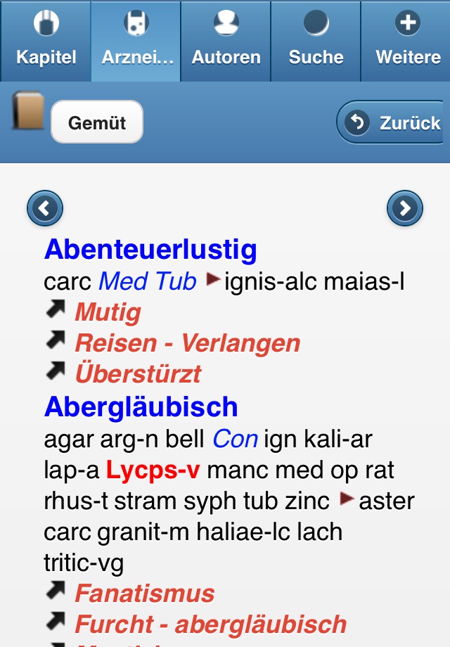 Repertorium Synthesis light screenshot 3