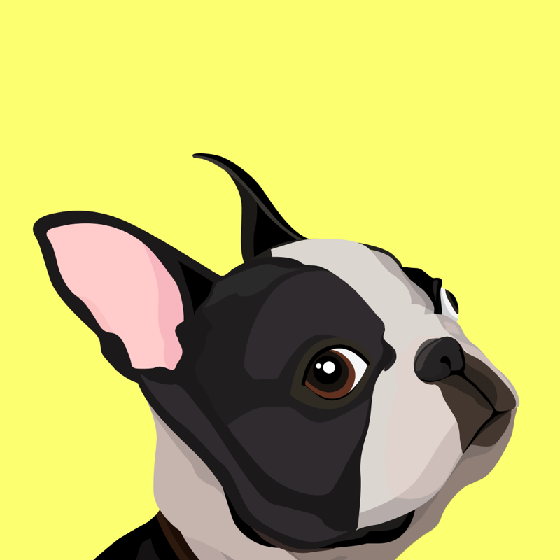EveryDoggy: honden fluitje