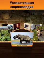 geo walk: Большая энциклопедия айпад изображения 4